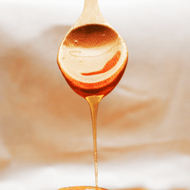 Fermenting Honey | Feature | The Fermentary
