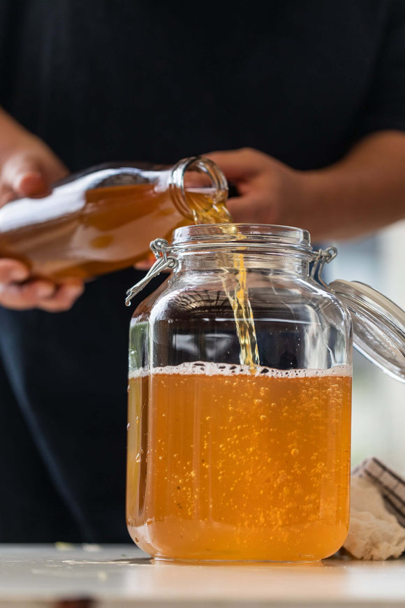 Kombucha, Jun, Mead & Water Kefir | Workshop | The Fermentary