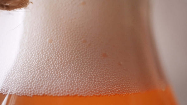 Kombucha and Jun, Water kefir, Wild Mead, Beet Kvass and more | Event | Event