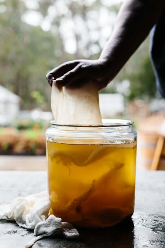 Kombucha, Jun, Mead & Water Kefir | Workshop | The Fermentary