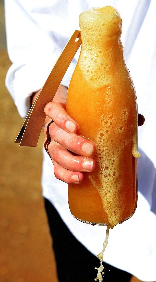 May 9th - Water Kefir M.O.B. | Past Events | The Fermentary