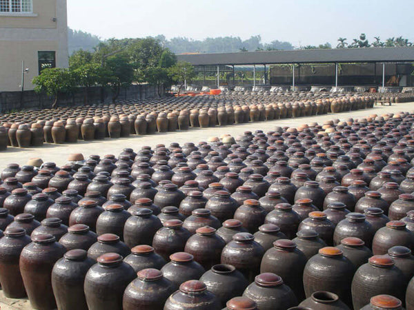 Shrub Concentrate - 7 years fermented brown rice vinegar | Fermented Drink | The Fermentary