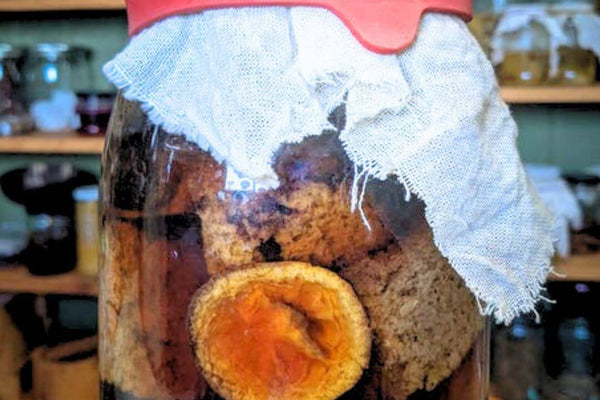 Rye Kvass Recipe | Feature | The Fermentary