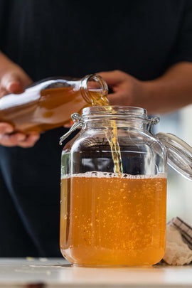All about Tibicos or Water kefir - What's Living in It?