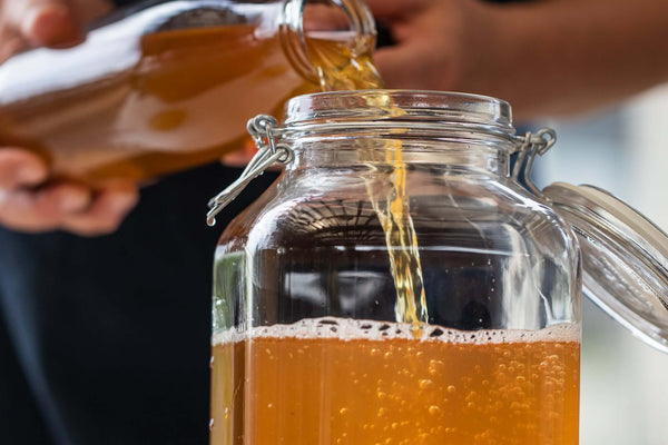All about Tibicos or Water kefir - What's Living in It?