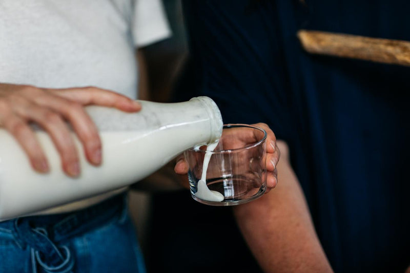 The Origin of Milk Kefir Grains - where do they come from?