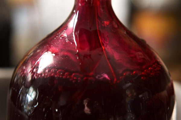 Fire Cider - Oxymel Immune Tonic
