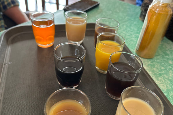 Our Jamu Concentrate: How to Enjoy It