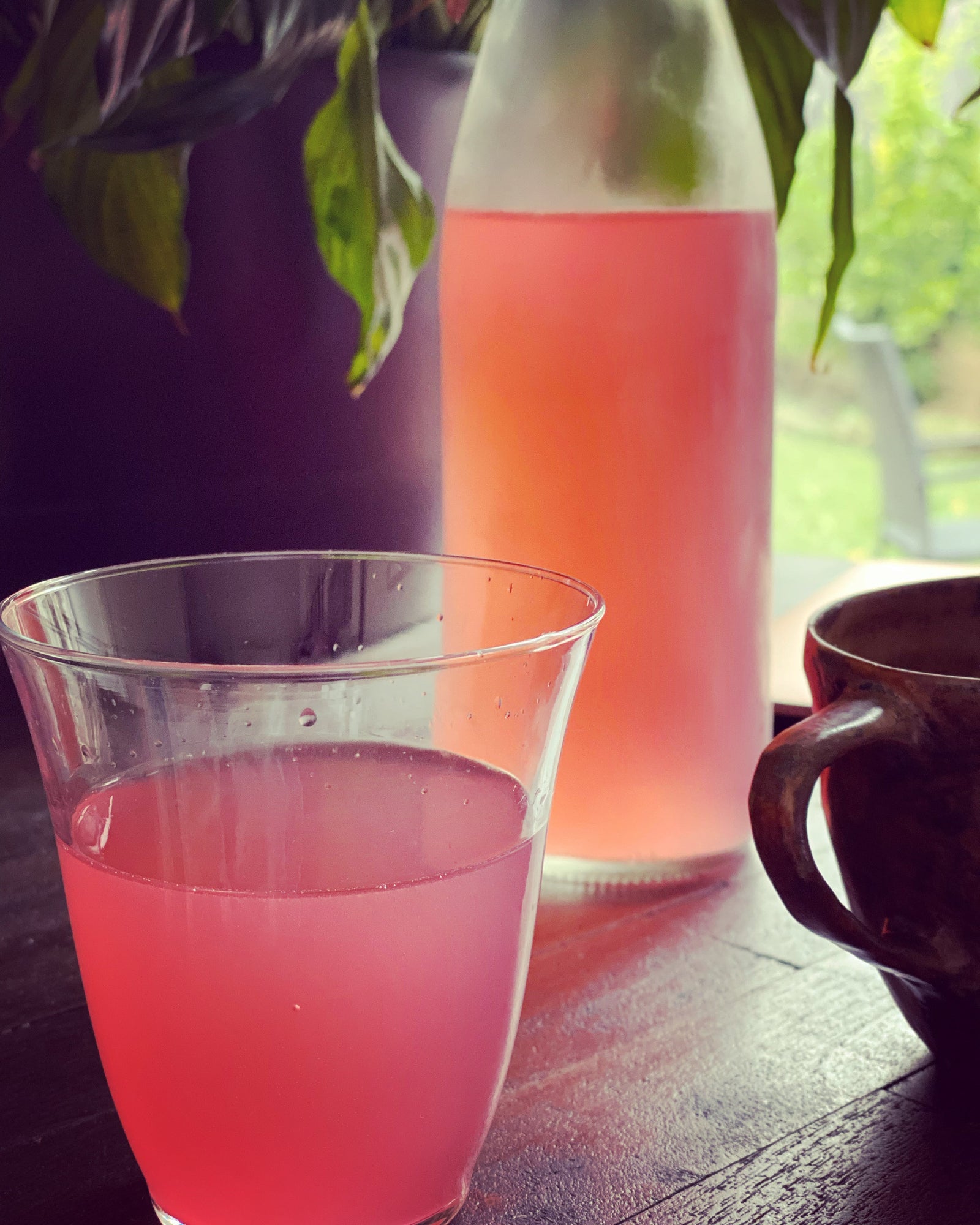 Kefir Whey into Wild Soda