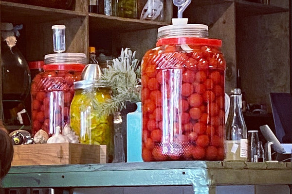 Brined Cherry Tomatoes: Little Flavour Bombs