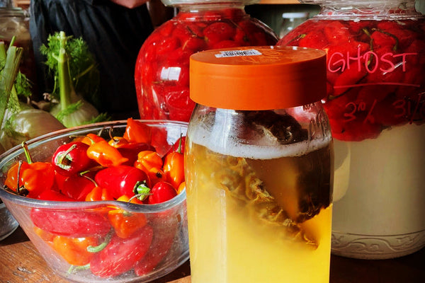 Tepache - from pineapple scrabs to fizzy drink!