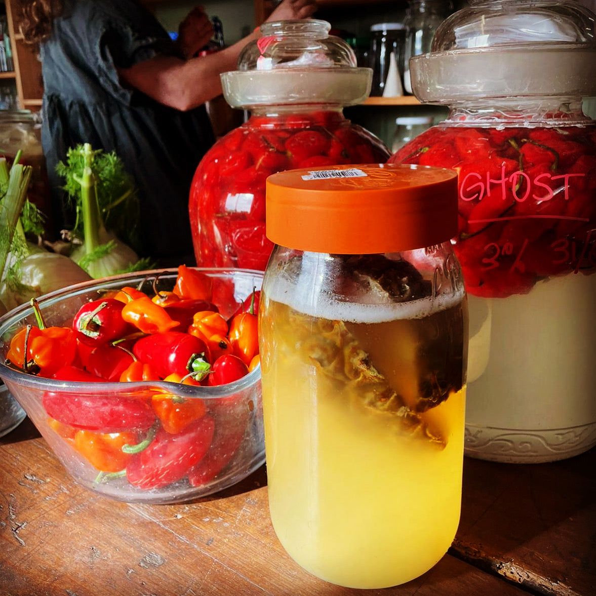 Tepache - pineapple scrap fizz