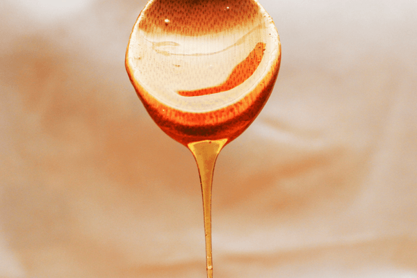 Fermenting Honey | Feature | The Fermentary