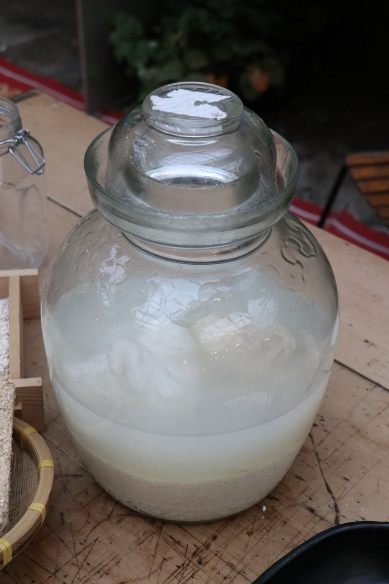 Fermenting the Rice Water from washing rice - for the garden