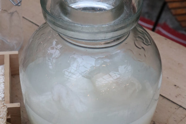 Fermenting the Rice Water from washing rice - for the garden