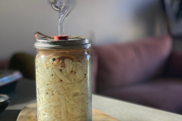 Sauerruben: Fermented Turnips