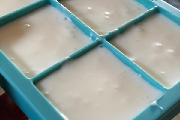 Freezing Milk Kefir for Smoothies