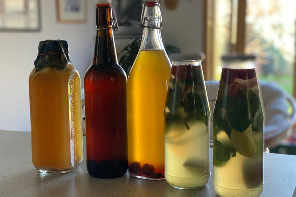 Pineapple Vinegar (Vinagre de Piña)