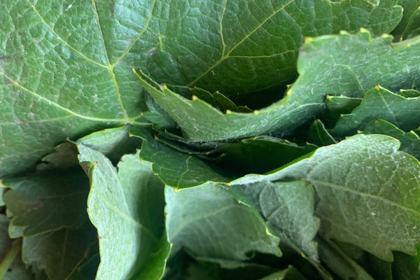 Preserved Vine Leaves (warak enab)