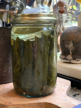 Using Preserved Vine Leaves