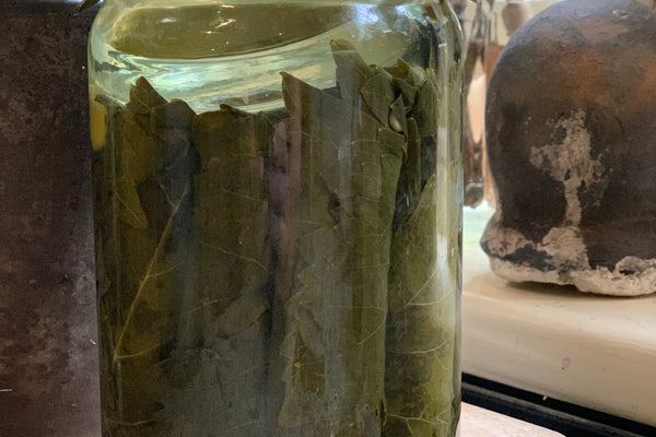 Using Preserved Vine Leaves