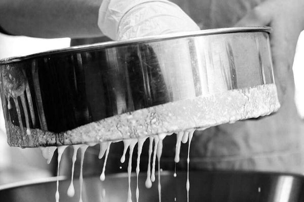 Laban bi Khiyar (Lebanese Yoghurt & Cucumber Soup)