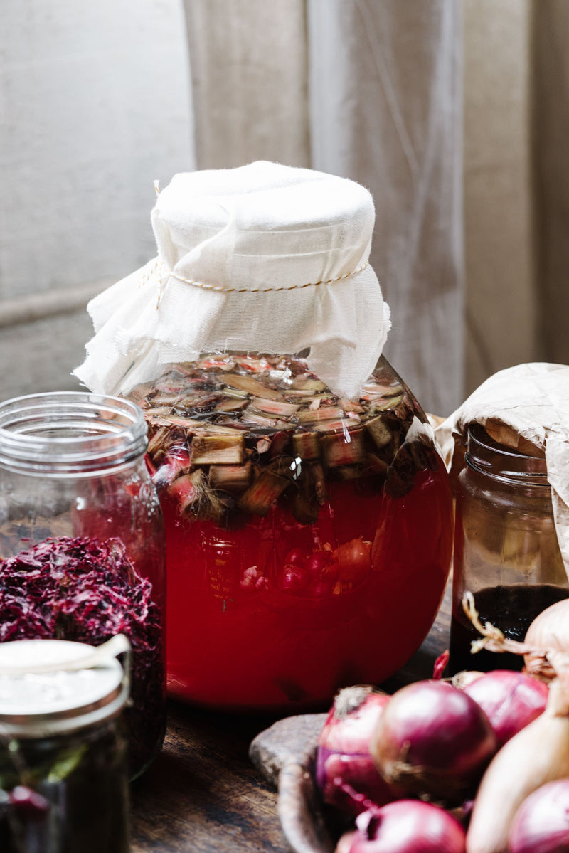 Wild Fermented Rhubarb Fizz - Lower Alcohol