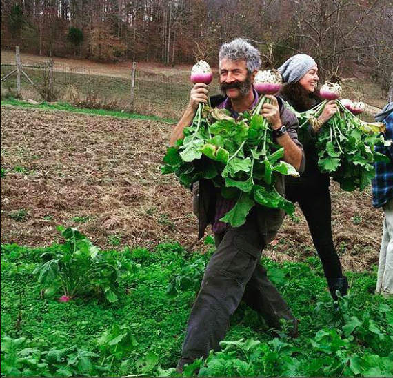 Sauerruben: Fermented Turnips
