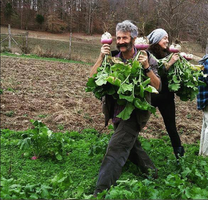 Sauerruben: Fermented Turnips
