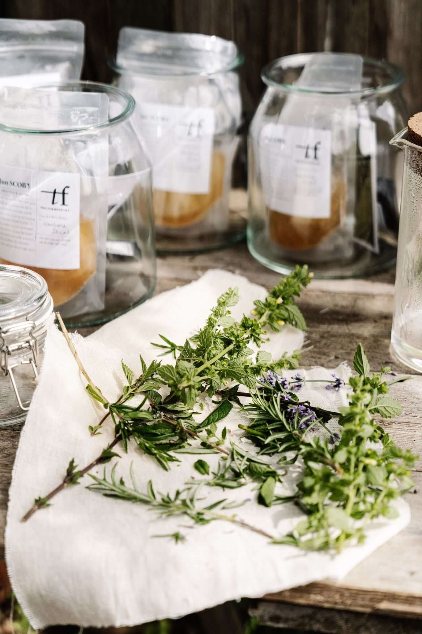 The Cottage Herbalist - Caroline Parker | Feature | The Fermentary