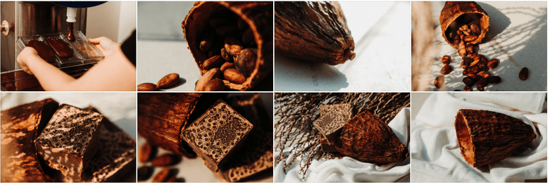 Why Samoan Cacao Is a Fermented Food (And Very Good News For Your Gut)