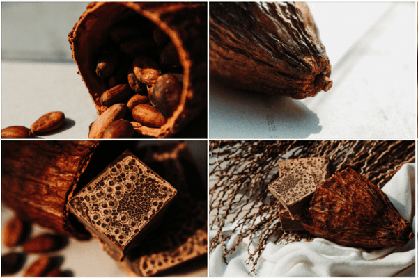 Why Samoan Cacao Is a Fermented Food (And Very Good News For Your Gut)