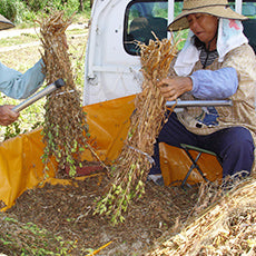 Meet the Maker:  WADAMAN SESAME - Osaka, Japan
