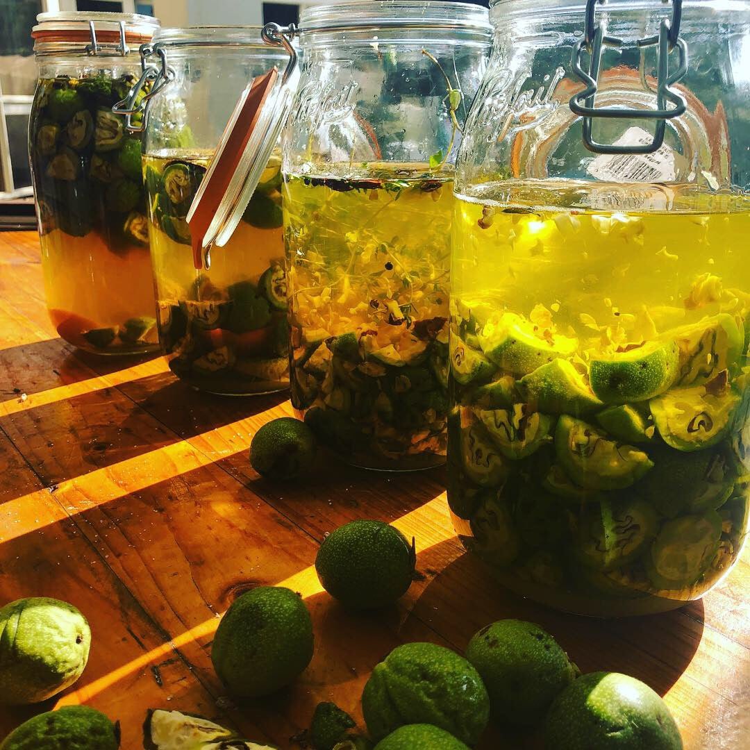 Nocino: Italian Green Walnut Liqueur