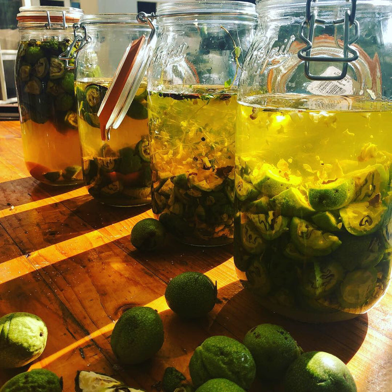 Nocino: Italian Green Walnut Liqueur