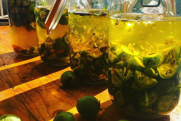 Nocino: Italian Green Walnut Liqueur