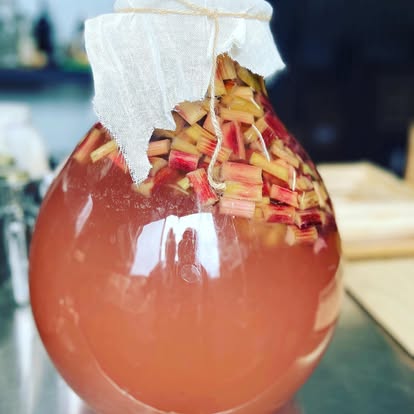 Rhubarb Champagne
