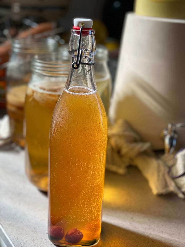 Water kefir pouch — The Fermentary