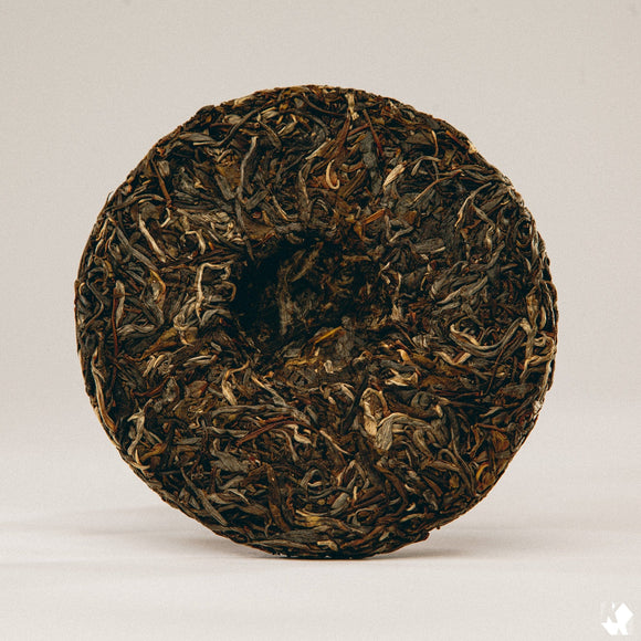 2022 'Glossolalia' Raw Pu-erh Tea | Drink | Kuura Tea Corp