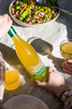 Mailer Maguire Kombucha | Fermented Drink | Mailer Maguire