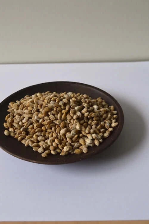 Barley Koji 300g | Live Culture | Kaokao