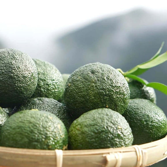 Green Yuzu Kosho - 50g | Fermented Food | Kushino Nouen