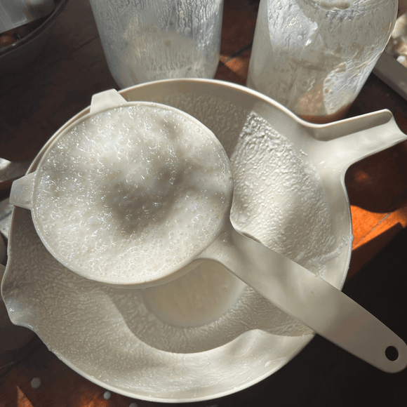 Milk kefir pouch — The Fermentary