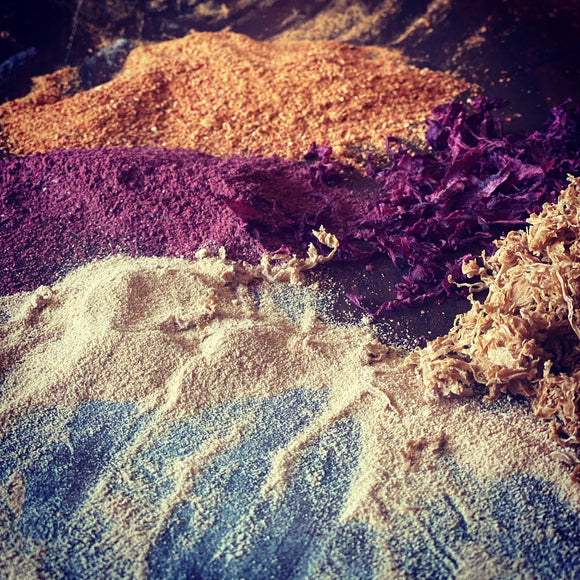 Kraut Crack - deep purple | Fermented Food | The Fermentary