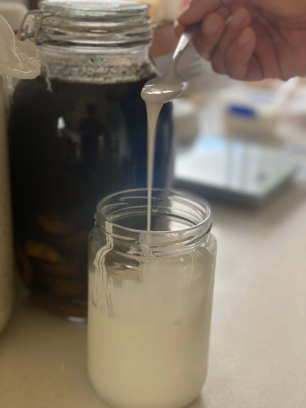 viili dripping down from spoon into jar in a long string.