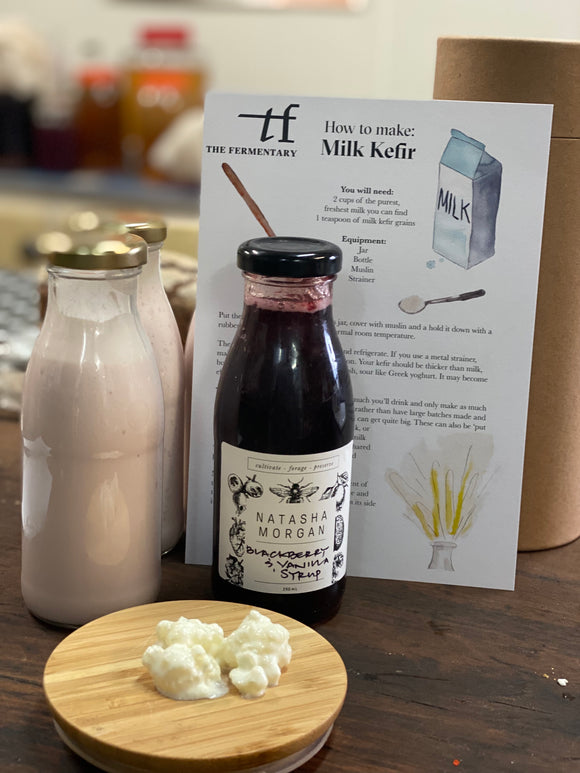 SPECIAL: Milk Kefir SCOBY and Natasha Morgan Syrup | Live Culture | The Fermentary