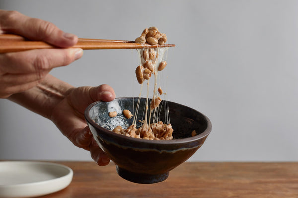 Nattō - biodynamic, small batch (soybean) | Fermented Food | The Fermentary
